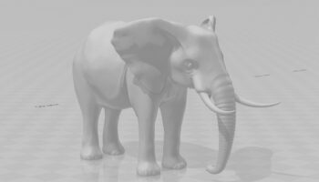 3D модель слона